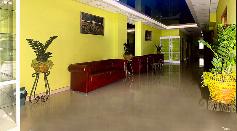 Гостиница Троя Кострома-246