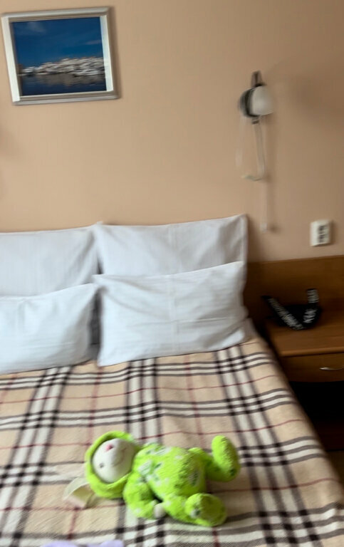 Гостиница Троя Кострома-245