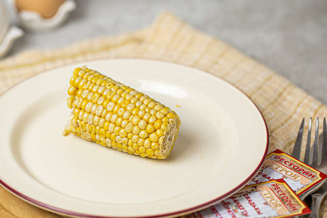 Гостиница Троя Кострома-100