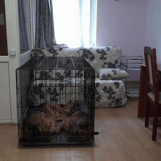 Гостиница Троя Кострома-216