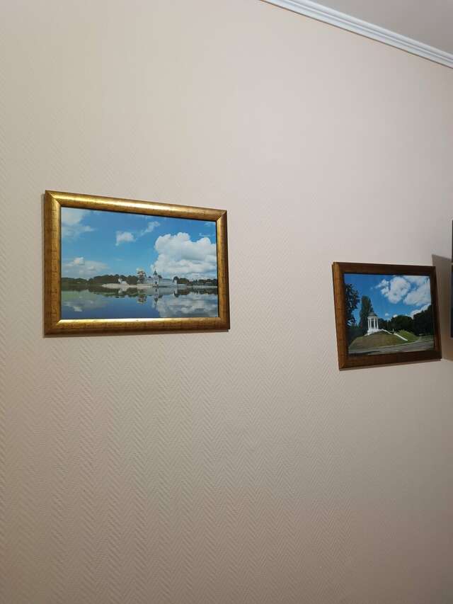 Гостиница Троя Кострома-234