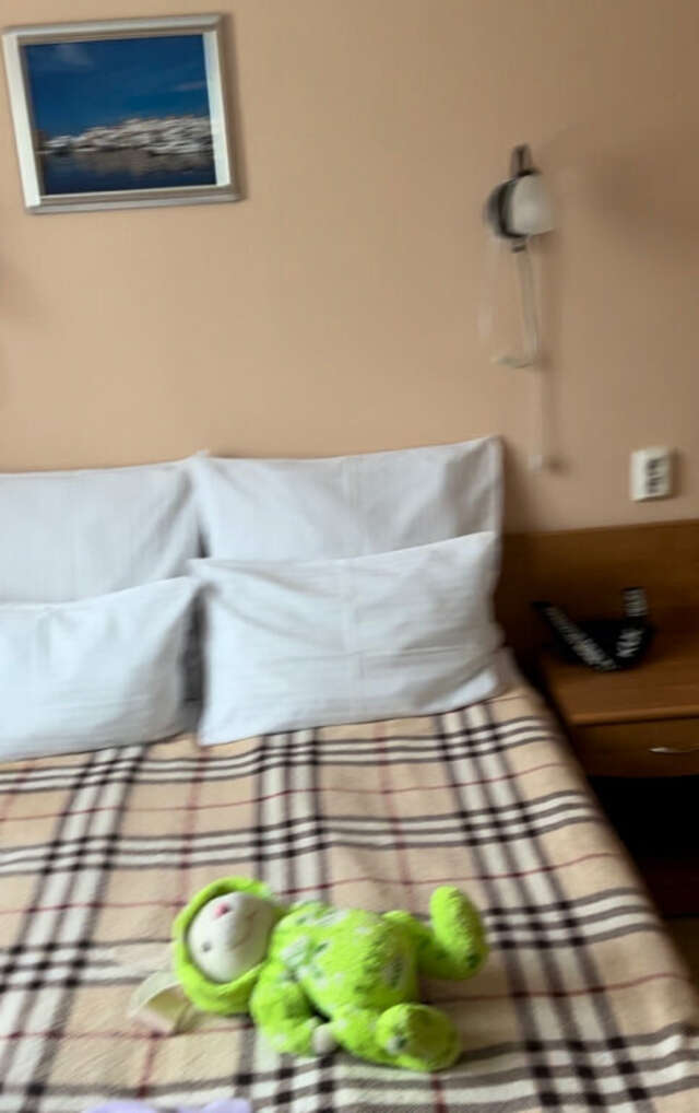 Гостиница Троя Кострома-244